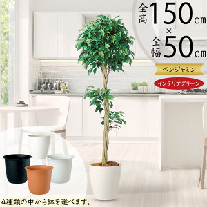 tFCNO[  lC xW~ tBJX xW~i CeAO[ ϗtA lHϗtA  lH  A[gO[ CeA IuWF  Mtg 