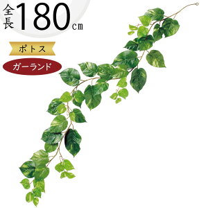 K[h  lC  tFCNO[ CeAO[ lHϗtA  A[eBtBVt[ A fR[V fBXvC t ǖʑ V t