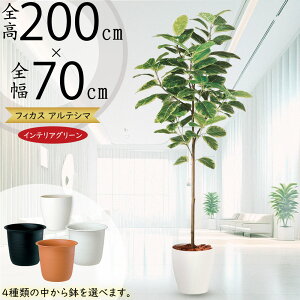 AeV}  ^ lC tFCNO[ A CeAO[ A[gvc lHϗtA ϗtA lH  A[gO[ CeA IuWF  tBJX 