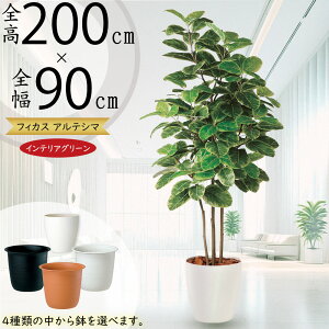 AeV}  ^ lC tFCNO[ A CeAO[ A[gvc lHϗtA ϗtA   A[gO[ CeA IuWF  tBJX A