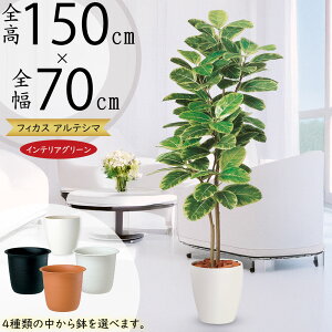 AeV}  ^ lC tFCNO[ A CeAO[ A[gvc lHϗtA ϗtA   A[gO[ CeA IuWF  tBJX A