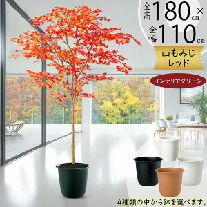 ~W ݂ tFCNO[ ^  lC A CeAO[ lHϗtA lH ϗtA  A[gO[ A[gvc CeA IuWF Ƌ  i`