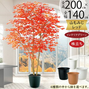 ~W ݂ tFCNO[ ^  lC A CeAO[ lHϗtA  ϗtA  A[gO[ A[gvc CeA IuWF Ƌ  i`