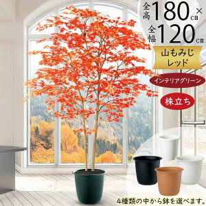 ~W ݂ tFCNO[ ^  lC A CeAO[ lHϗtA  ϗtA  A[gO[ A[gvc CeA IuWF Ƌ  i`