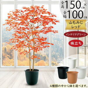 ~W ݂ tFCNO[ ^  lC A CeAO[ lHϗtA  ϗtA  A[gO[ A[gvc CeA IuWF Ƌ  i`