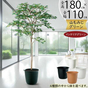 ݂ ~W tFCNO[ ^  lC A CeAO[ lHϗtA lH ϗtA  A[gO[ A[gvc CeA IuWF Ƌ  i`