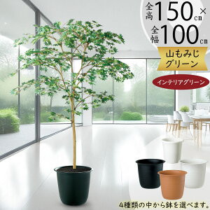 ݂ ~W tFCNO[ ^  lC A CeAO[ lHϗtA lH ϗtA  A[gO[ A[gvc CeA IuWF Ƌ  i`