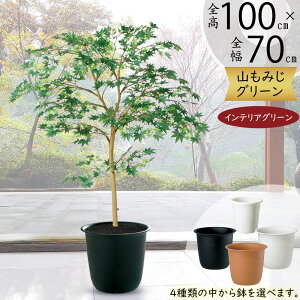 ݂ ~W tFCNO[  lC A CeAO[ lHϗtA lH ϗtA  A[gO[ A[gvc CeA IuWF Ƌ  i`