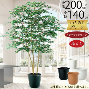 ݂ ~W tFCNO[ ^  lC A CeAO[ lHϗtA  ϗtA  A[gO[ A[gvc CeA IuWF Ƌ  i`