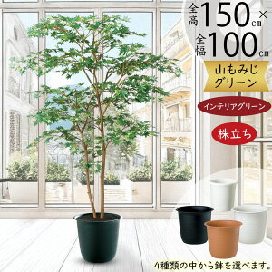 ݂ ~W tFCNO[ ^  lC A CeAO[ lHϗtA  ϗtA  A[gO[ A[gvc CeA IuWF Ƌ  i`