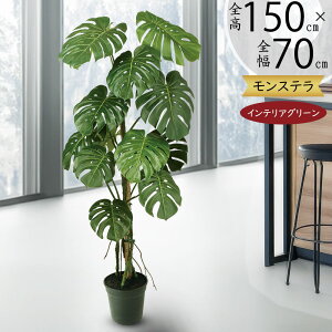 tFCNO[ Xe  lC  A CeAO[ ^ 傫 傫 lHϗtA lH  CeA IuWF { ChAO[  