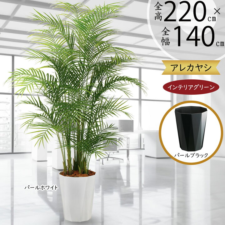 楽天市場】フェイクグリーン 大型 アレカヤシ インテリアグリーン 