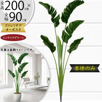 楽天市場】フェイクグリーン トラベラーズパームの通販