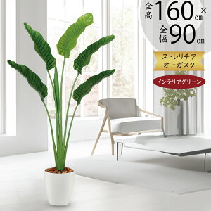 Xg`A Xg`A tFCNO[ ^  lC  A CeAO[ lHϗtA  lH ϗtA A[gO[ CeA IuWF  V