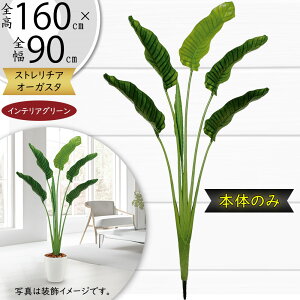 Xg`A Xg`A tFCNO[ ^  lC  A CeAO[ lHϗtA  lH ϗtA A[gO[ CeA IuWF  V