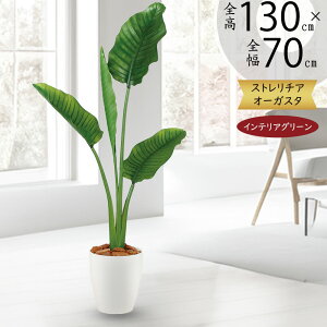 Xg`A Xg`A tFCNO[  lC  A CeAO[ lHϗtA  lH ϗtA A[gO[  CeA IuWF   