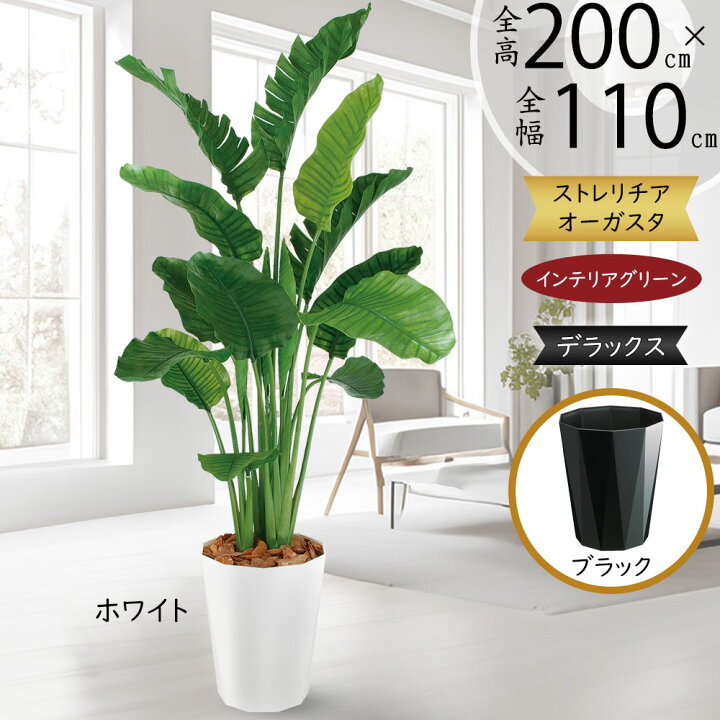 楽天市場】ストレリチア ストレチア フェイクグリーン 大型 おしゃれ 