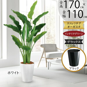 Xg`A Xg`A tFCNO[ ^  lC  A CeAO[ lHϗtA  lH ϗtA A[gO[ CeA IuWF  V