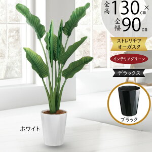 Xg`A Xg`A tFCNO[  lC  A CeAO[ lHϗtA  lH ϗtA A[gO[  CeA IuWF   