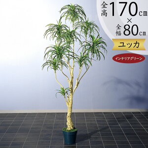 hZi tFCNO[ ^  lC CeAO[ A ϗtA lHϗtA lH  A[gvc A[gO[  IuWF Mtg v[g z