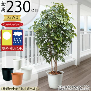 tFCNO[ Op OΉ ^  lC A CeAO[ ϗtA lHϗtA lH   A[gO[ tBJX xW~  CeA  