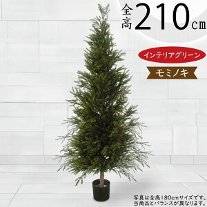 ~̖ ^  lC tFCNO[ CeAO[ A lHϗtA lH ϗtA  A[gO[ A[gvc NX}Xc[ CeA Mtg i`