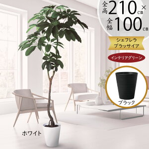 tFCNO[ ^  VFt J|bN lC  A CeAO[ lHϗtA  lH ϗtA A[gO[  CeA IuWF  X 