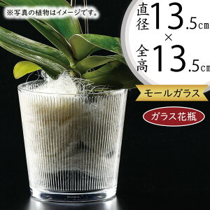 KXԕr  lC t[x[X Ԋ ԕr KXԊ KX CeA Ɏq ԓ t[AWg   ԑ u[P fBXvC Mtg v[g  ~jϗt 