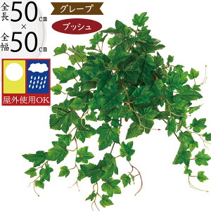 tFCNO[ Op OΉ CeAO[  lC A  lHϗtA A[gO[ t[AWg fBXvC   oRj[ t@T[h x