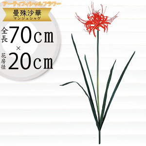  ֎썹 ފ݉ }WVQ qKoi lC   A A[eBtBVt[ t[AWg CeAO[ tFCNO[ lHϗtA