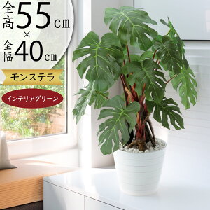 tFCNO[ Xe  lC  A CeAO[ A[gvc lHϗtA lH  CeA IuWF { ChAO[  r