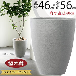 Aؔ ^  lC v^[  |bg  | ϗt ϗtA ChAO[ K[fjO _ Vv  eX oRj[ Ǝ{  }bg 唫 [