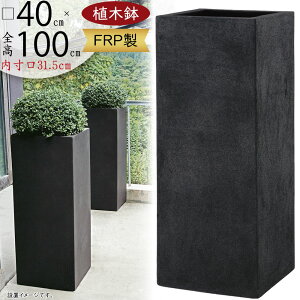 Aؔ ^  lC v^[ FRP | ϗt |bg  |pi  K[fjO CeA Jo[ ubN  [^ [ g[ c {bNX 傫 傫  eX 