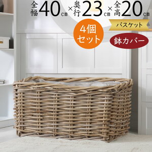 oXPbg Jo[ v^[ Jo[  lC CeA ϗtA ChAO[ CeAO[ VRf Rf Ԋ Mtg t[AWg  | A