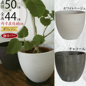 v^[Jo[ Jo[ ^ lC  |bg 唫 ϗtA ChAO[ CeAO[   |pi ϗt   Vv _  CeA Ƌ Mtg 