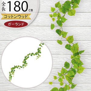 K[h  lC  tFCNO[ CeAO[ lHϗtA  A[eBtBVt[ A fR[V fBXvC t ǖʑ V  