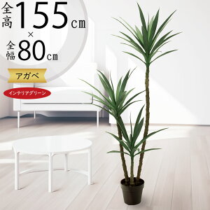 AKx tFCNO[ A  lC A  CeAO[ lHϗtA lH  A[gO[ ϗtA  CeA Mtg 蕨 IuWF  R