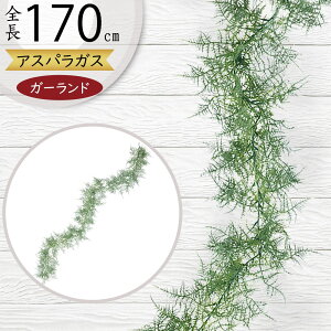 K[h  lC  tFCNO[ CeAO[ lHϗtA  A[eBtBVt[ A fR[V fBXvC t ǖʑ V t