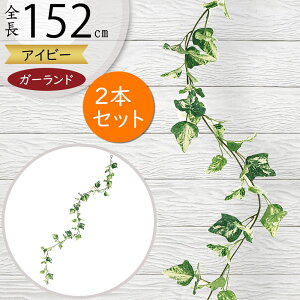 K[h  lC  tFCNO[ CeAO[ lHϗtA  A[eBtBVt[ A fR[V fBXvC t ǖʑ V t