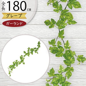 K[h  lC  tFCNO[ CeAO[ lHϗtA  A[eBtBVt[ A fR[V fBXvC t ǖʑ V  