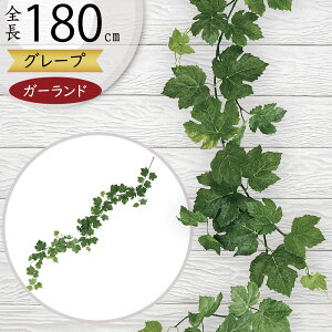 K[h  lC  tFCNO[ CeAO[ lHϗtA  A[eBtBVt[ A fR[V fBXvC t ǖʑ V  