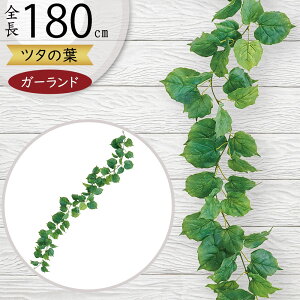 K[h  lC  tFCNO[ CeAO[ lHϗtA  A[eBtBVt[ t A fR[V G fBXvC t ǖ