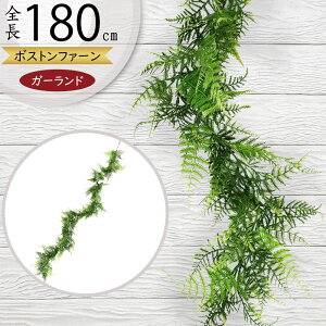 K[h  lC  tFCNO[ CeAO[ lHϗt  A[eBtBVt[ t A  fR[V fBXvC t ǖʑ t