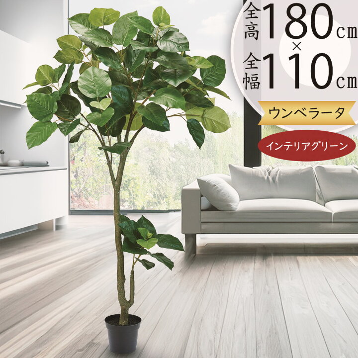楽天市場】ウンベラータ フェイクグリーン 大型 おしゃれ 観葉植物 