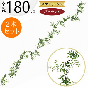 K[h  lC  tFCNO[ CeAO[ lHϗt  A[eBtBVt[ t A  fR[V fBXvC t ǖʑ t