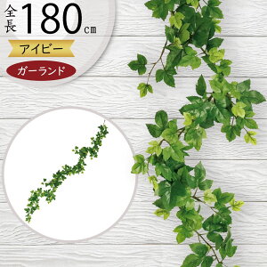 K[h  lC  ACr[ tFCNO[ CeAO[ lHϗtA  A[eBtBVt[ t A fR[V fBXvC t ǖ