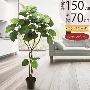 Ex[^ tFCNO[ ^  ϗtA A lC CeAO[  lHϗtA lH  A[gO[ CeA 傫 傫   fB