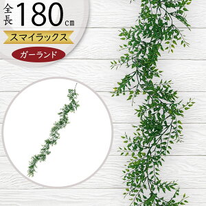 K[h  lC  tFCNO[ CeAO[ lHϗtA  A[eBtBVt[ t A fR[V fBXvC t ǖʑ 