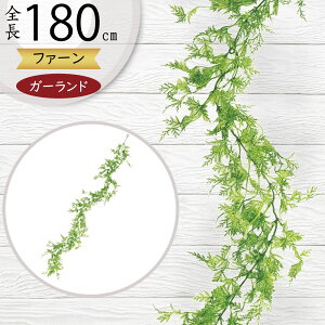 K[h  lC  A tFCNO[ CeAO[ lHϗtA  A[eBtBVt[ fR[V fBXvC t ǖʑ V t