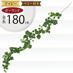 K[h  lC  tFCNO[ CeAO[ lHϗtA  A[eBtBVt[ A fR[V fBXvC t  ǖʑ V